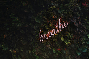 Self-Care in Self-Isolation: How to Be Productive During Social Distancing